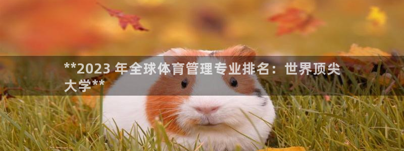必一运动·(B-sp