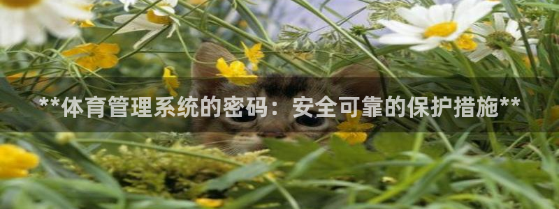 必一运动体育：**体