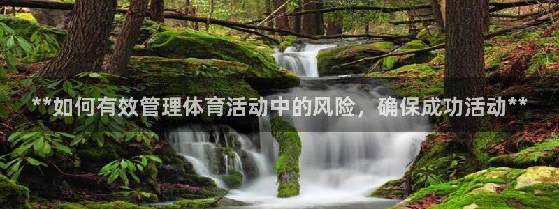 b体育必一下载：**