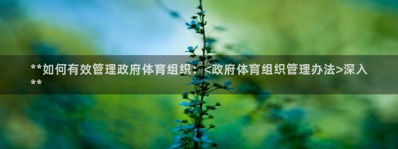 必一运动·(B-Sp