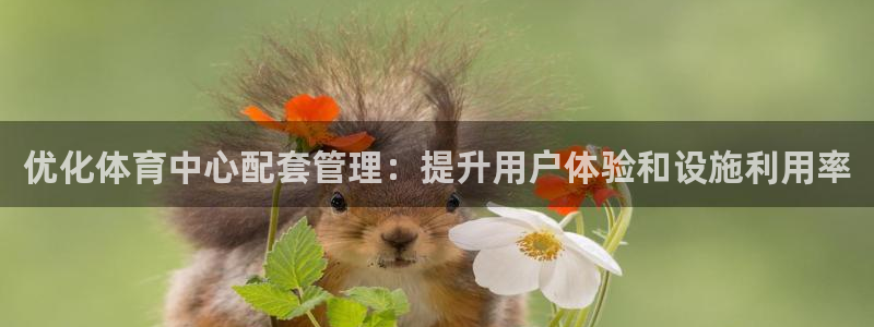 必一体育bsport