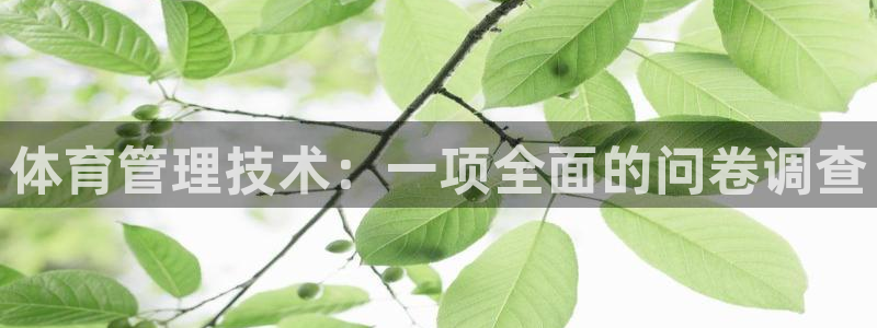 必一体育秀给网：体育