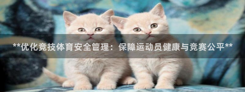 必一体育app下载最