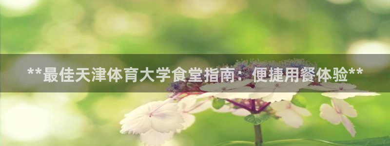必一体育sport网