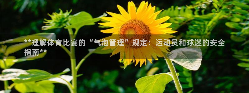 必一运动官网装机吧：