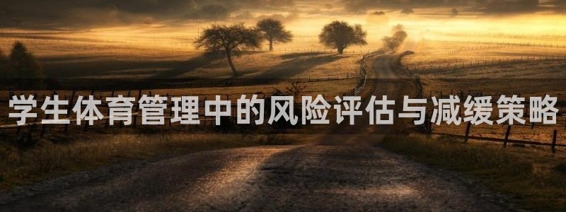 必一体育游戏玩法：学