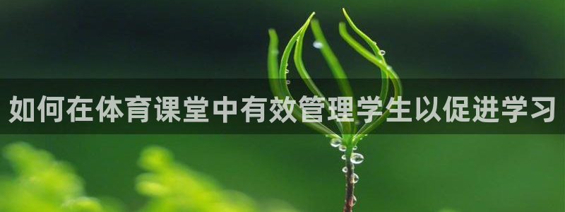必一体育下载app：