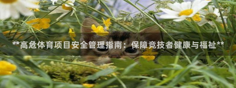 必一运动·(B-sp