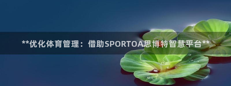 必一体育登录入口：*