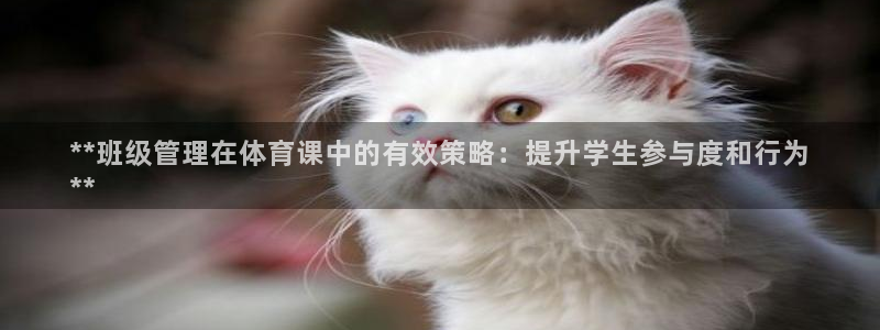 必一体育平台：**班