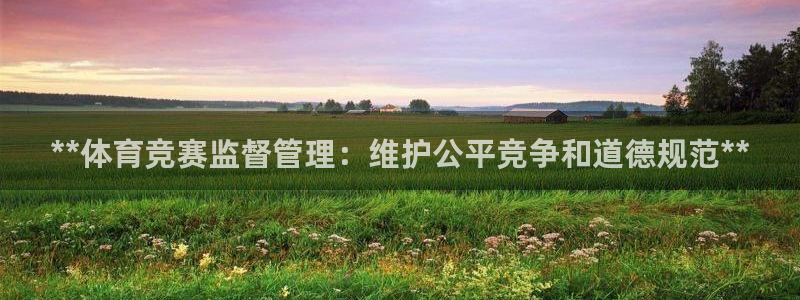 必一体育app下载装