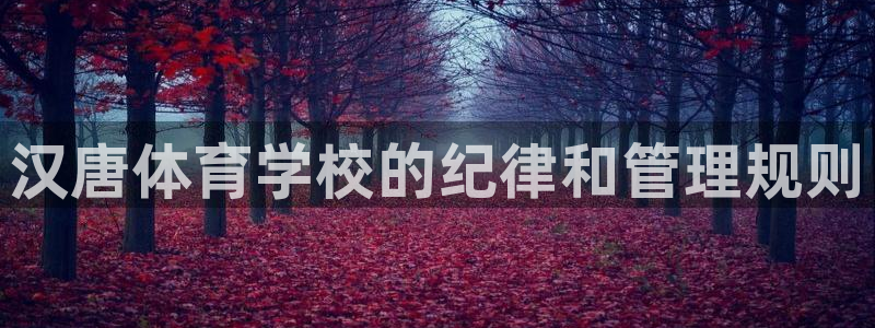 必一体育app官方正