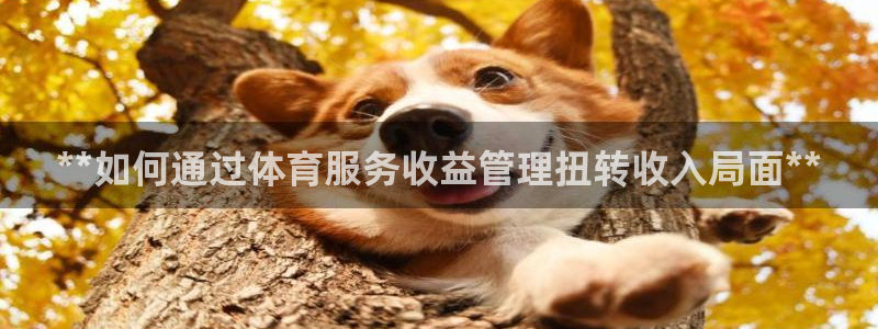 必一体育验证码：**