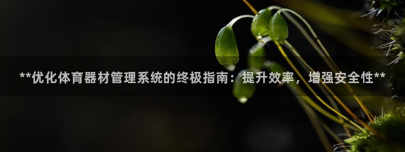 必一体育周公：**优