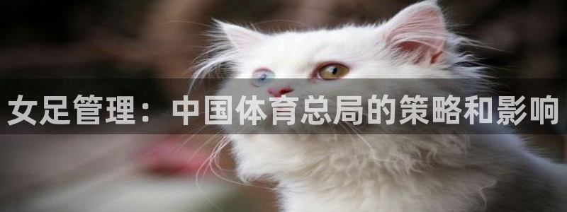 必一体育网页版登录：