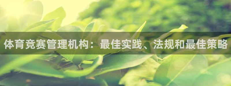 必一体育bsport