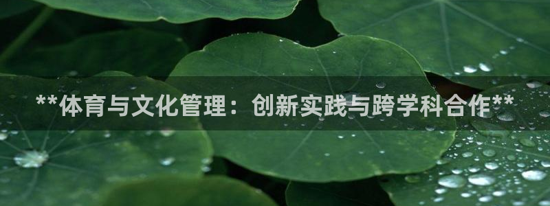 必一体育sport网