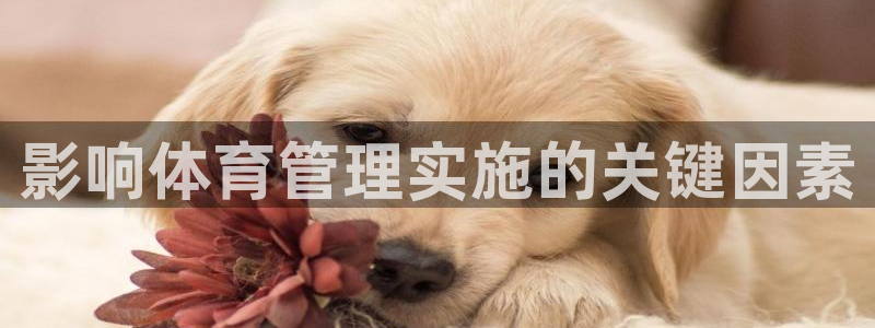 必一体育下载义：影响