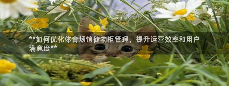 必一运动体育官网下载