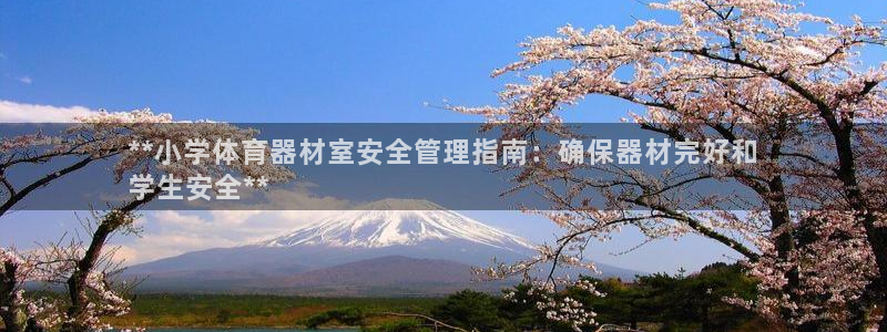 必一体育全站在线登录
