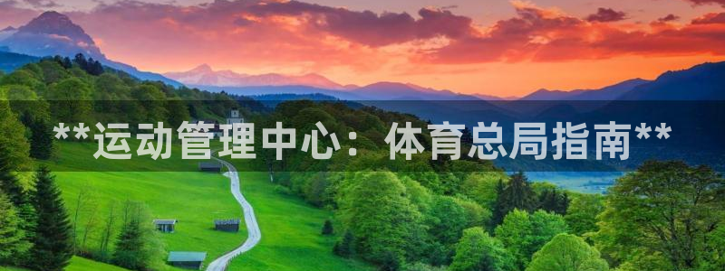 必一体育sport装