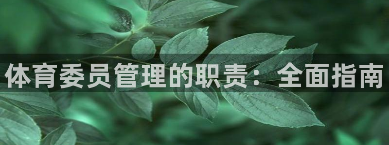 必一体育运动app下