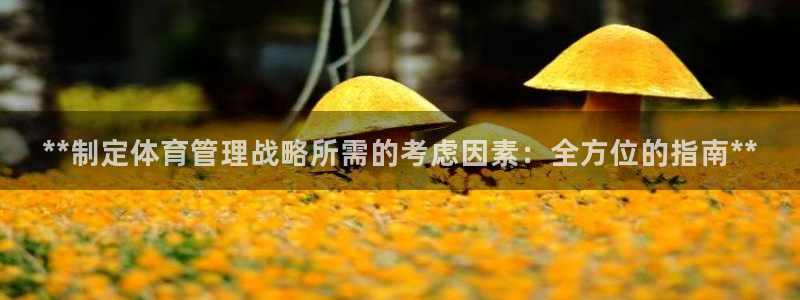 必一体育app官方正
