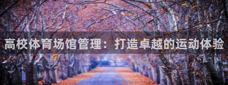 必一体育在线登陆：高