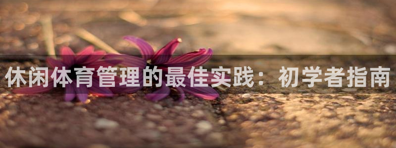 必一体育sportB