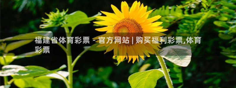 必一体育sport官