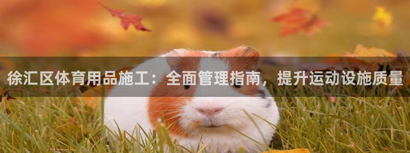 必一体育下载入口：徐