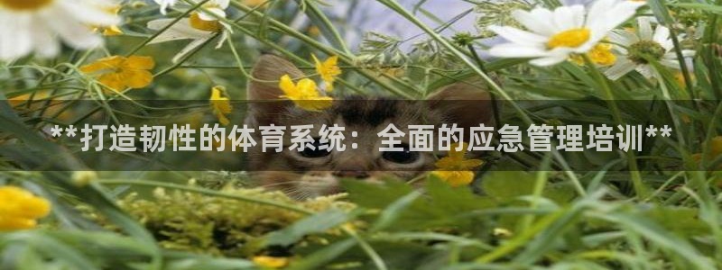 必一体育下载app：