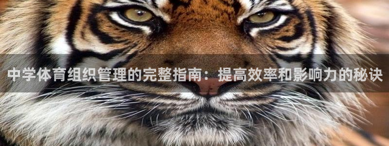 b体育必一下载：中学