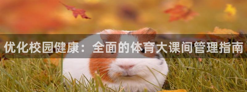 必一体育下载：优化校