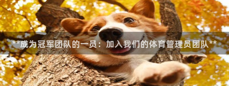 必一体育app下载：