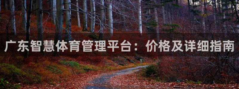 必一体育最新官网入口