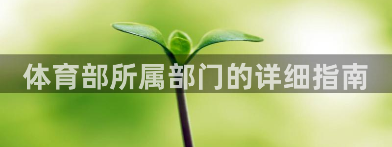 必一体育运动平台官网