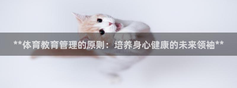 必一体育下载秀给网：