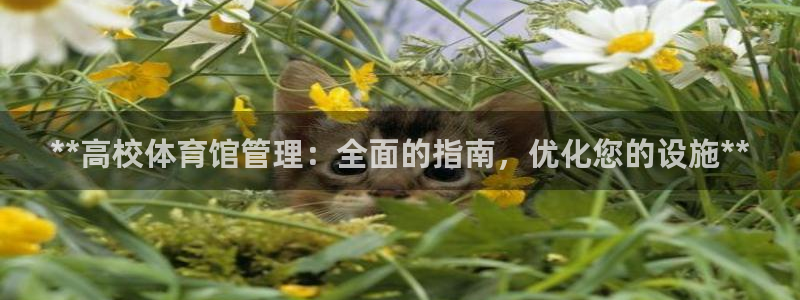 必一体育秀给网：**