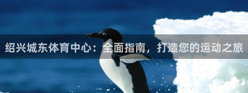必一体育sport：
