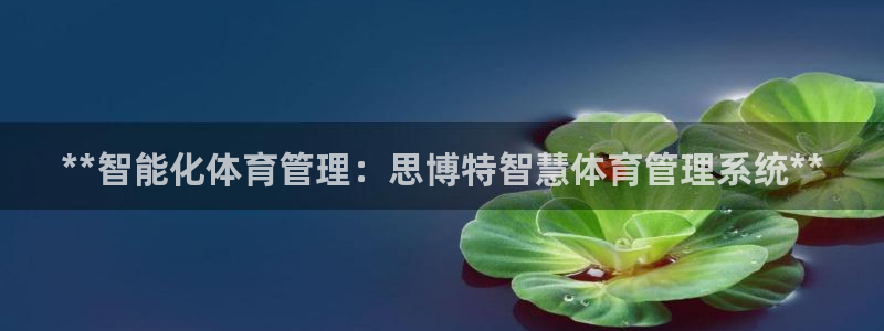 必一体育旧版：**智
