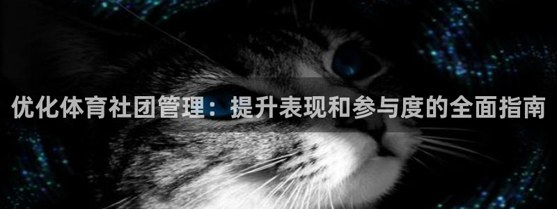必一体育运动app：