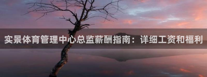 必一运动 b 体育素描版：实景体育管理中心总监薪酬指南：详细
