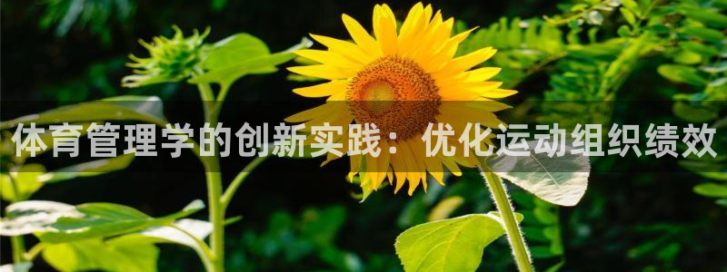 必一体育在线入口：体