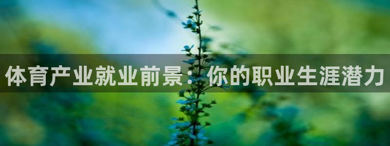 必一体育sport网