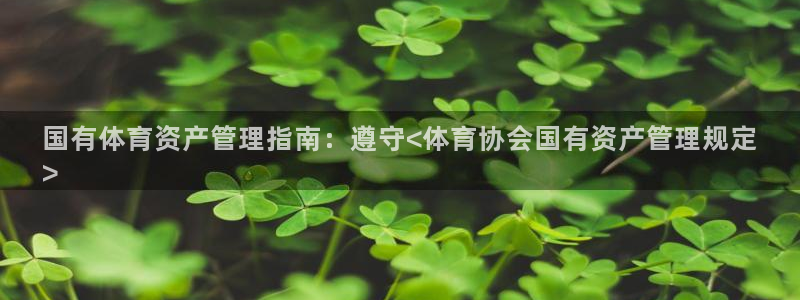 必一体育官方入口：国