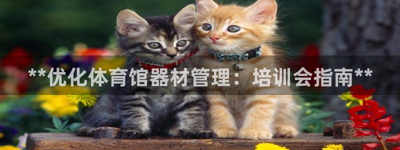 必一体育登入：**优