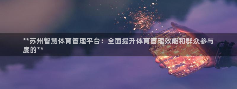 必一体育官网网站：*
