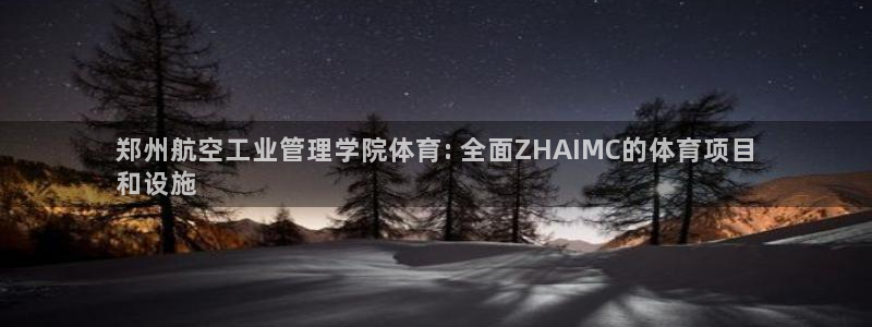 必一体育bsport下载：郑州航空工业管理学院体育: 全面Z