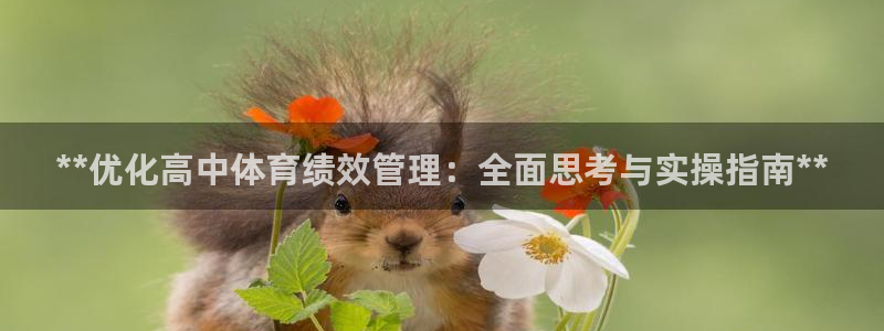必一体育app官方下
